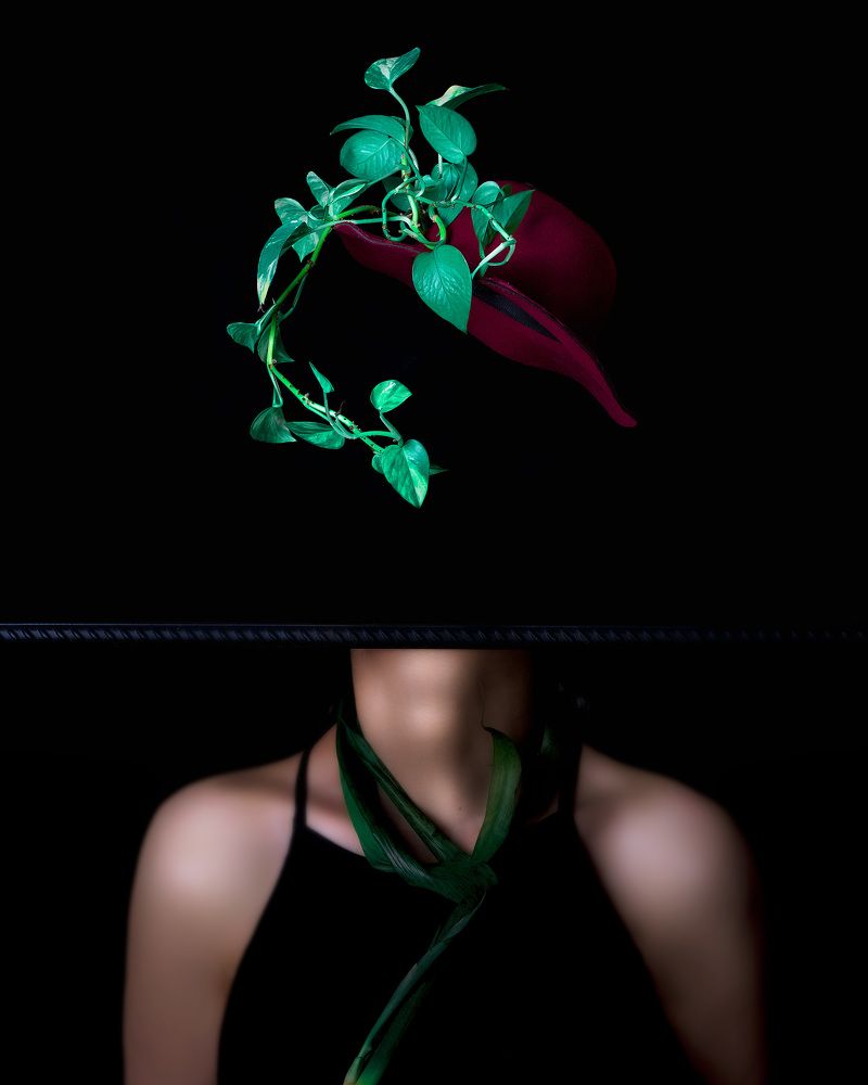 Photograph by amene karimi