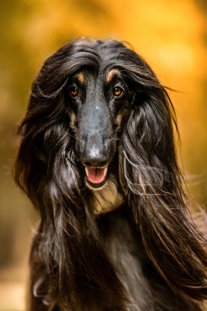 Photograph by Agnieszka Wieczorek