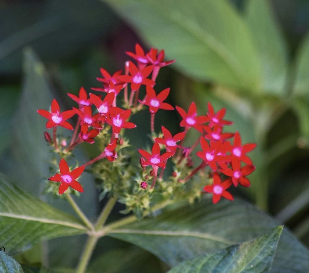 Photograph by Feda Haddad