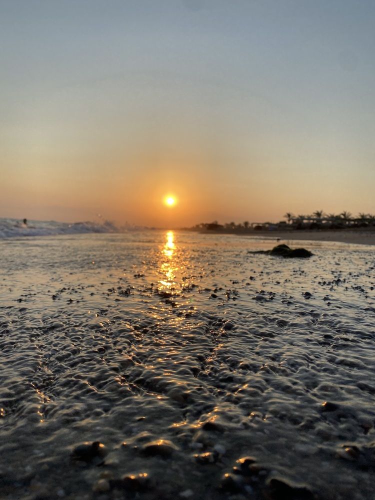 Photograph by Feda Haddad