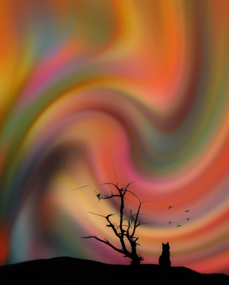 Photograph by Akhoondi Hannaneh