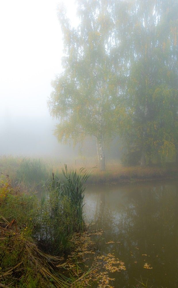 Photograph by Константин Воробьёв