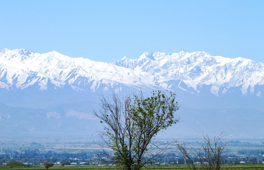 Photograph by Виктор Яхонтов