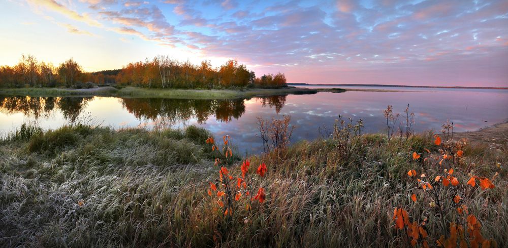 Первые заморозки