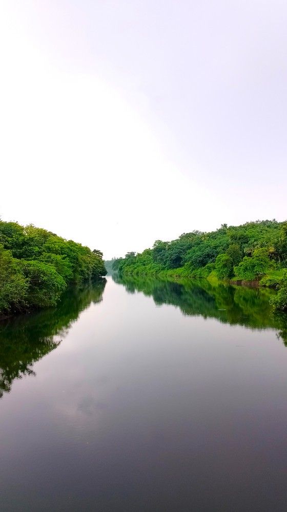 Фотография автора Anjali Babu