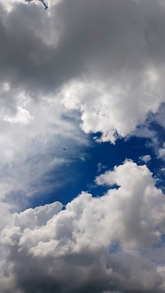 Фотография автора Anjali Babu