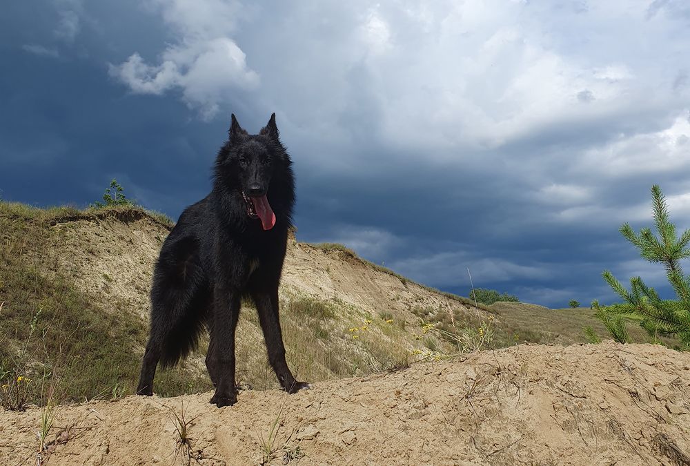 Фотография автора Надежда Лисицына