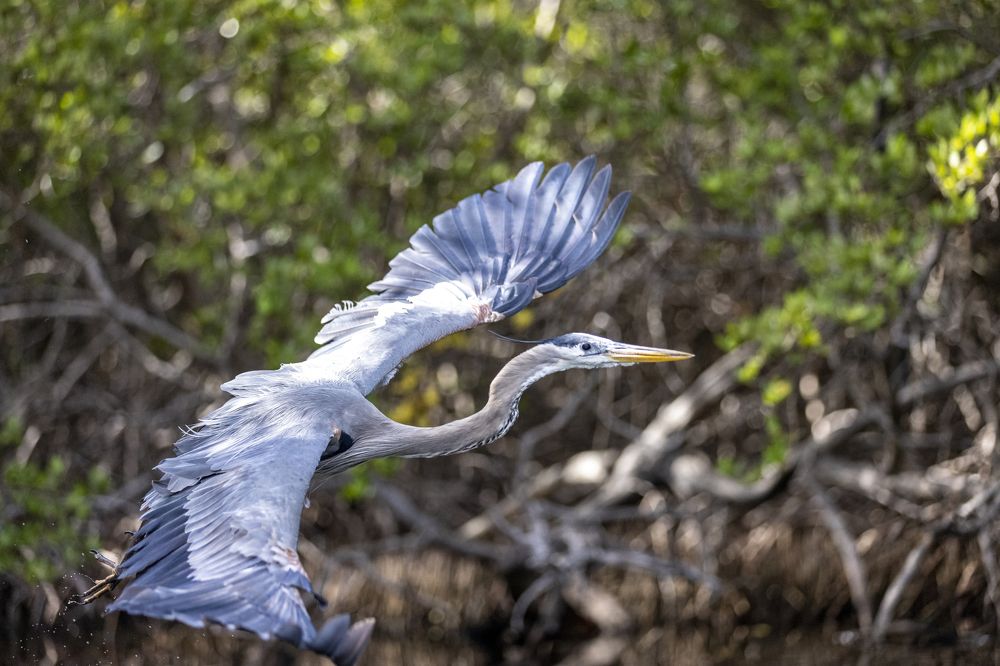 Photograph by Иван Соловьёв