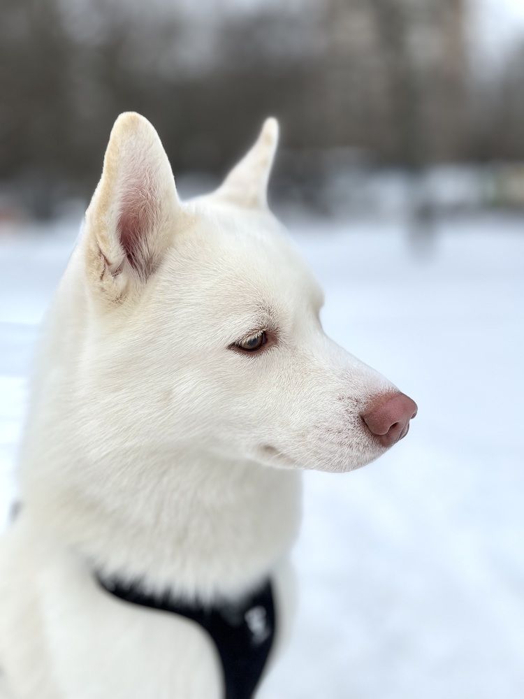 Photograph by Алла Творогова