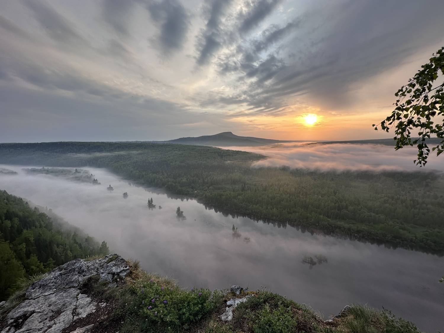 Photo #10445853