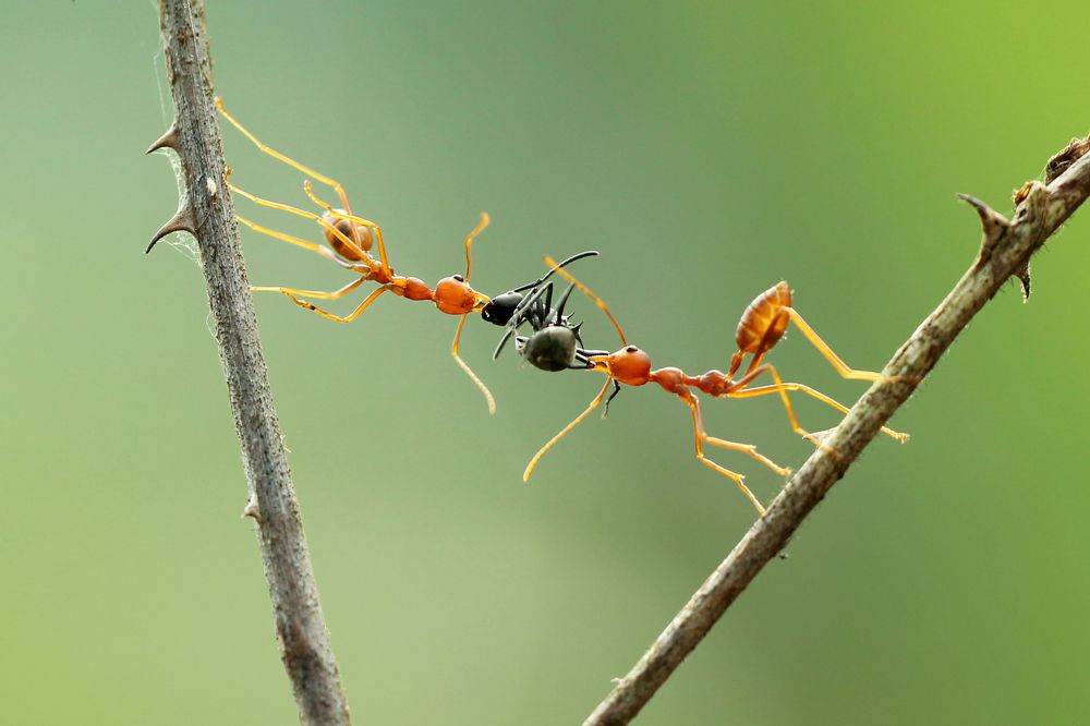 Photograph by Ridho  Arifuddin