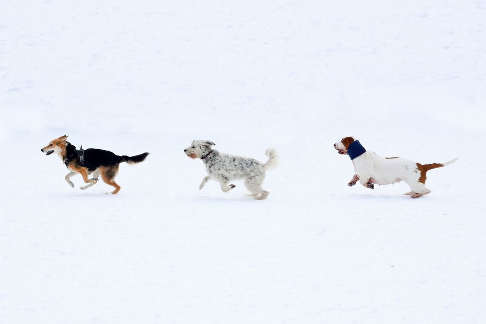 Photograph by Мария Дудина