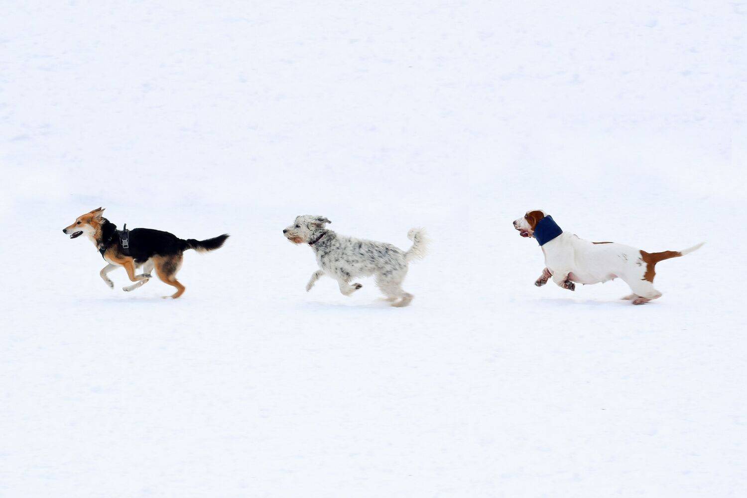 Фотография #10445893