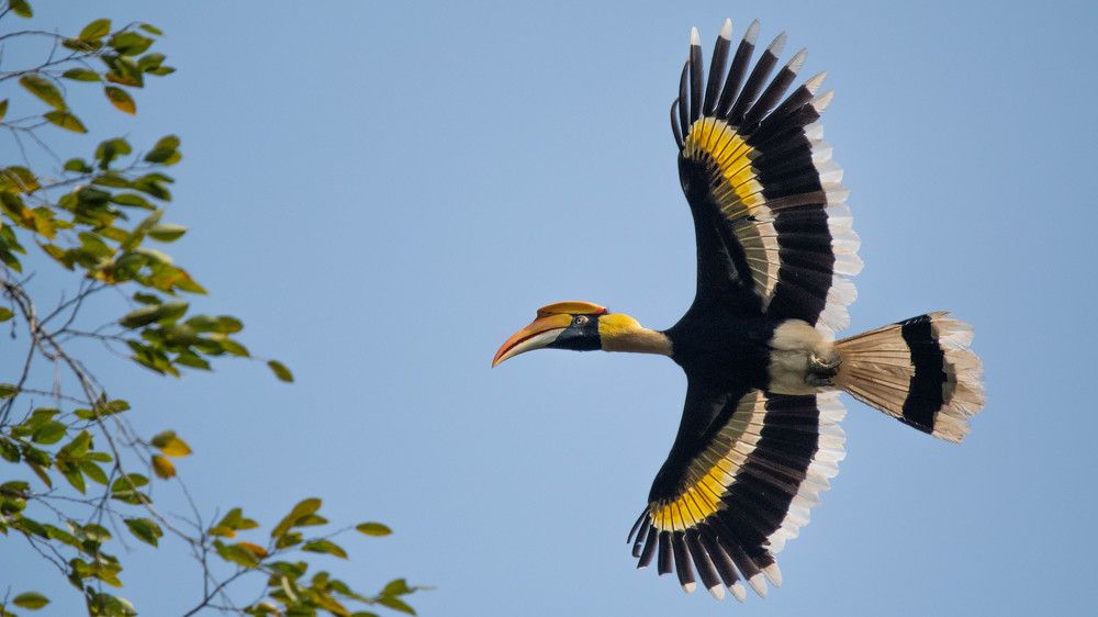 Photograph by Faisal Fasaludeen