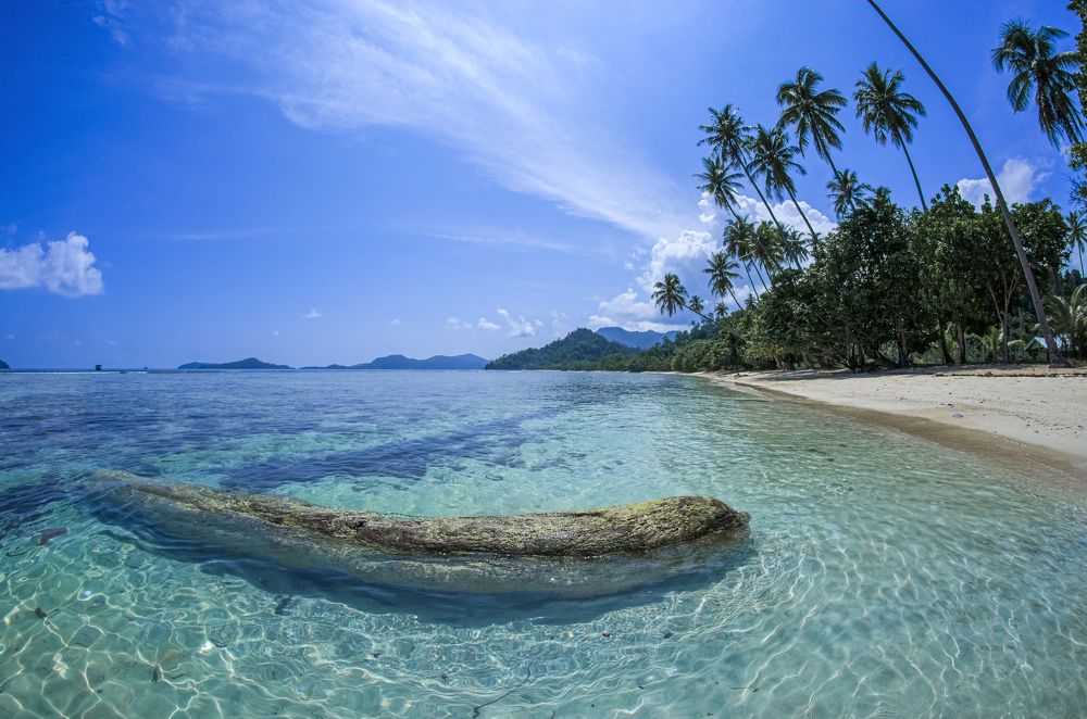 Photograph by Ridwan Read