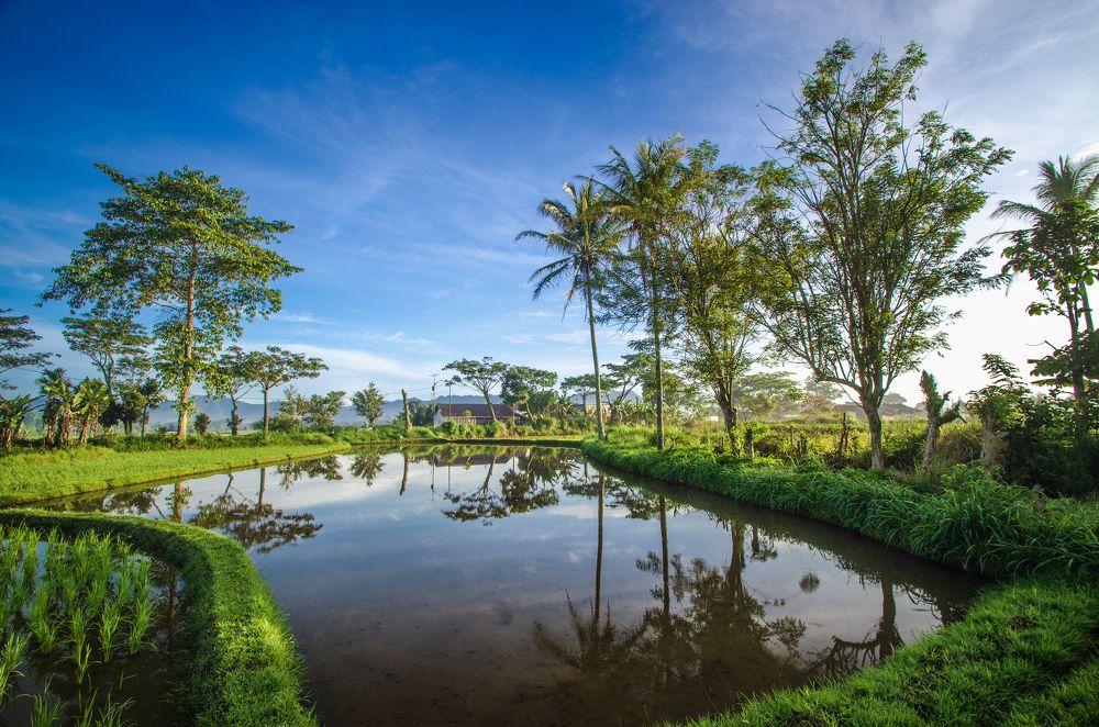 Photograph by Ridwan Read