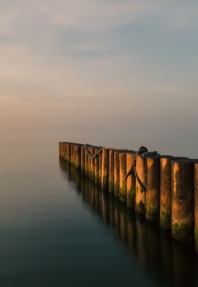 Фотография автора Ольга Артковская