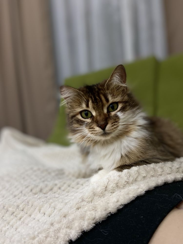 Photograph by Наталья Душакова