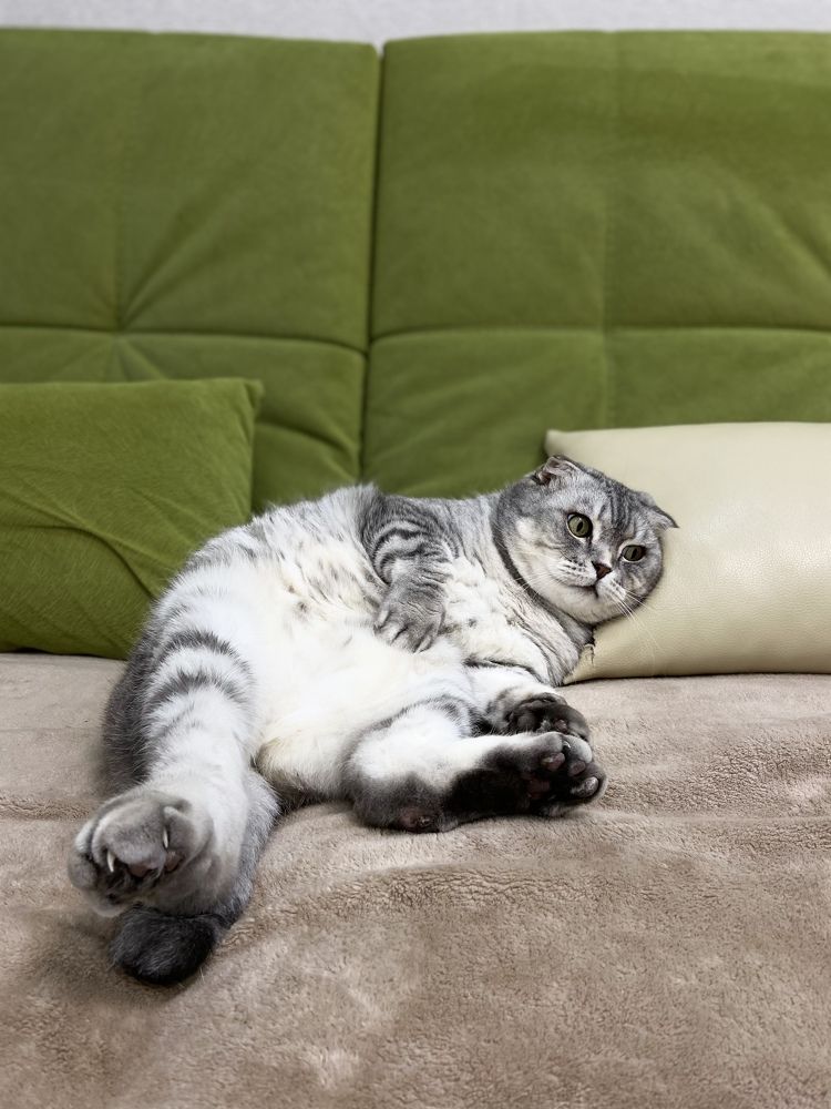 Photograph by Наталья Душакова