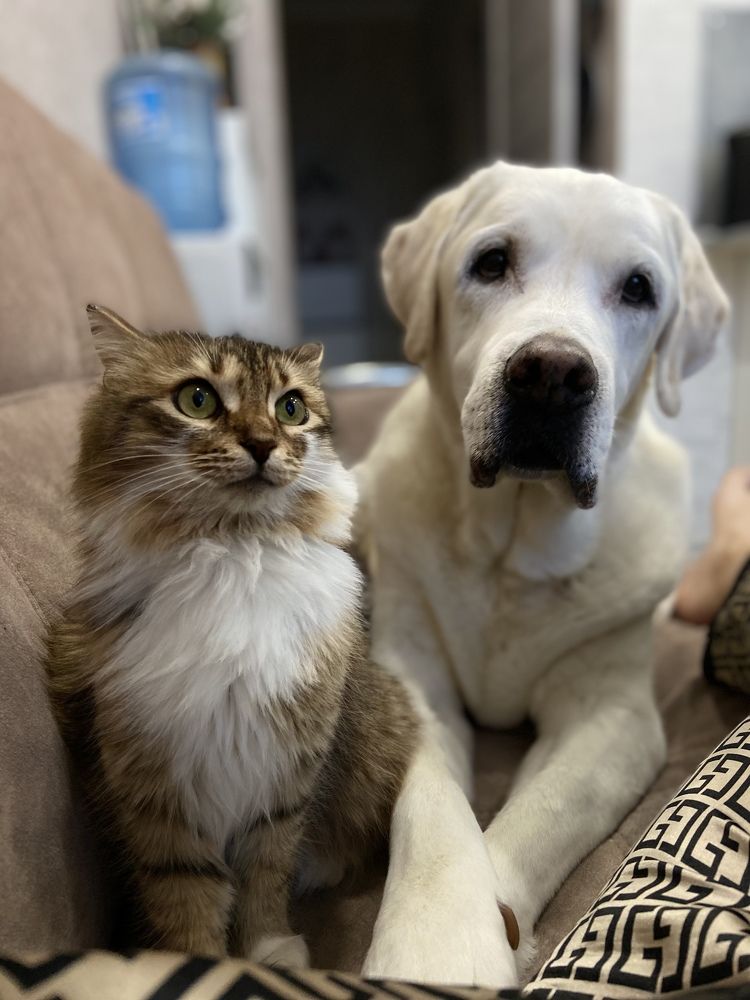 Photograph by Наталья Душакова