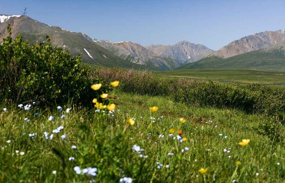 Photograph by Ирина Кучеренко