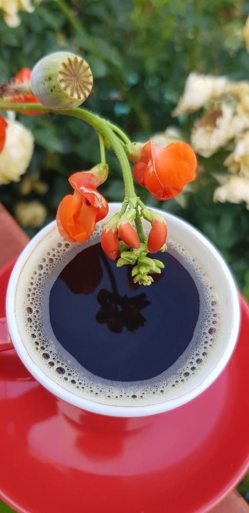 Фотография автора Ольга Мусина