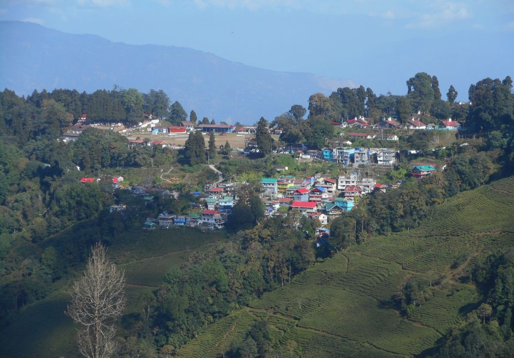 Photograph by Anirban Bhattacharya