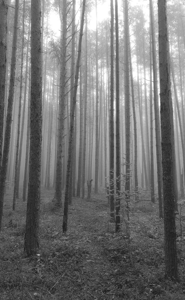 Photograph by PERESHEIN ANDREY