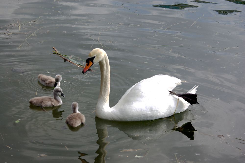 Photograph by Лилия Потравнова