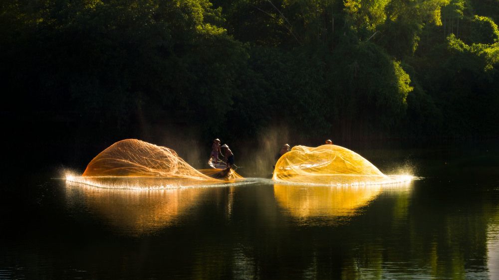 Фотография автора Dao Ngoc Canh