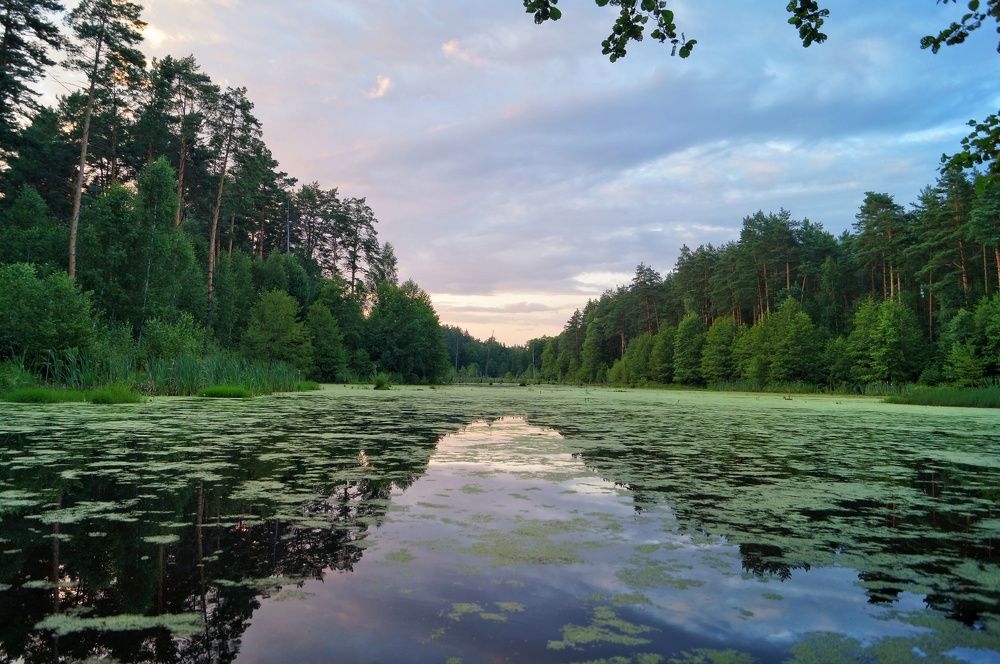 Photograph by Анна Богданова