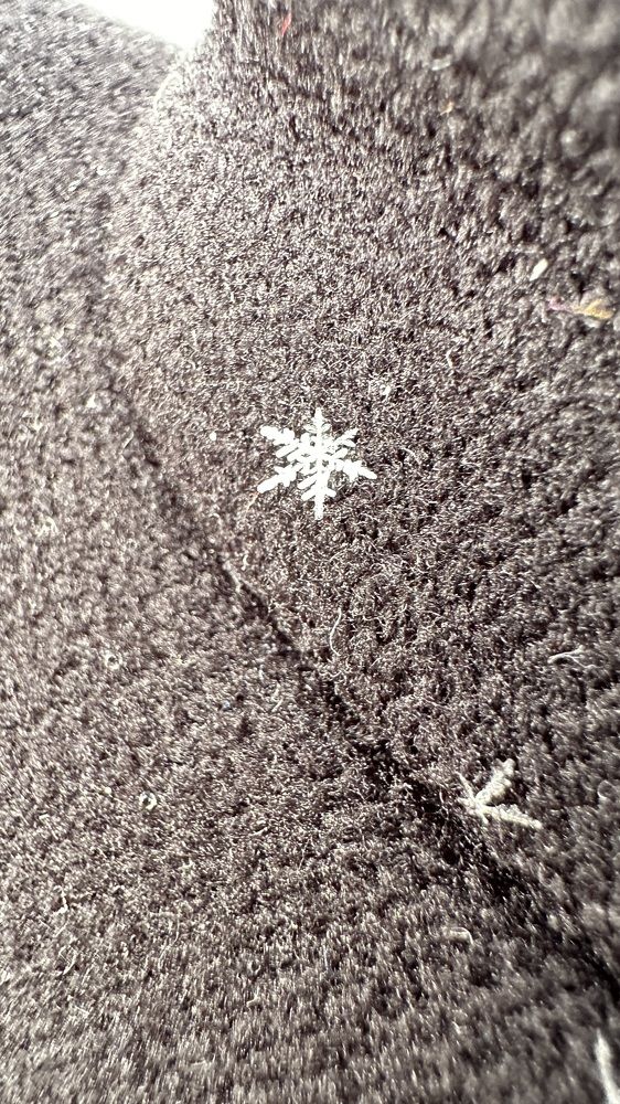 Фотография автора Alyanur Yuldasheva