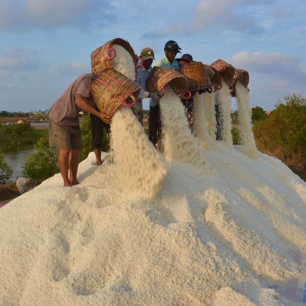 Photograph by HIEU LIEM DO