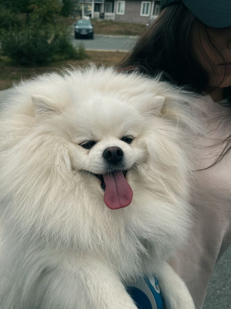 Фотография автора Елена Меньшикова