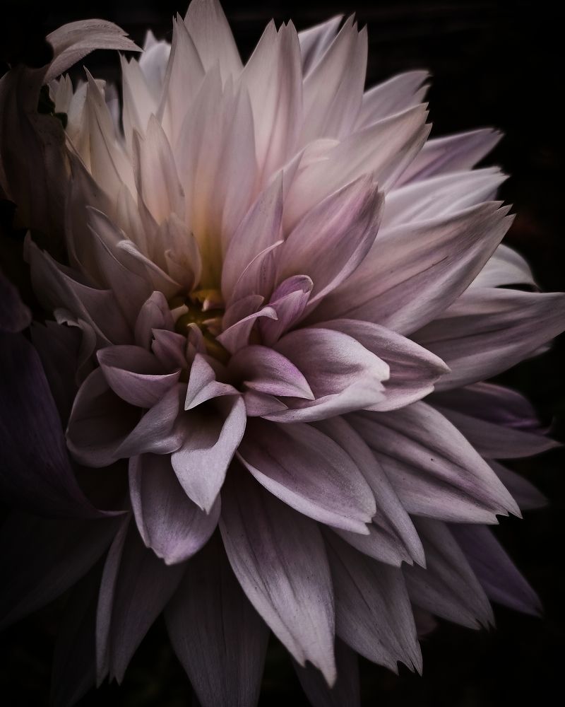 Фотография автора Arnab Roy