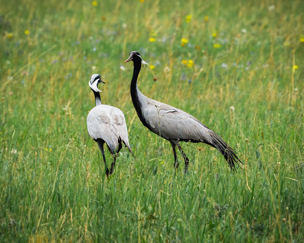 Photograph by Екатерина Дубровская