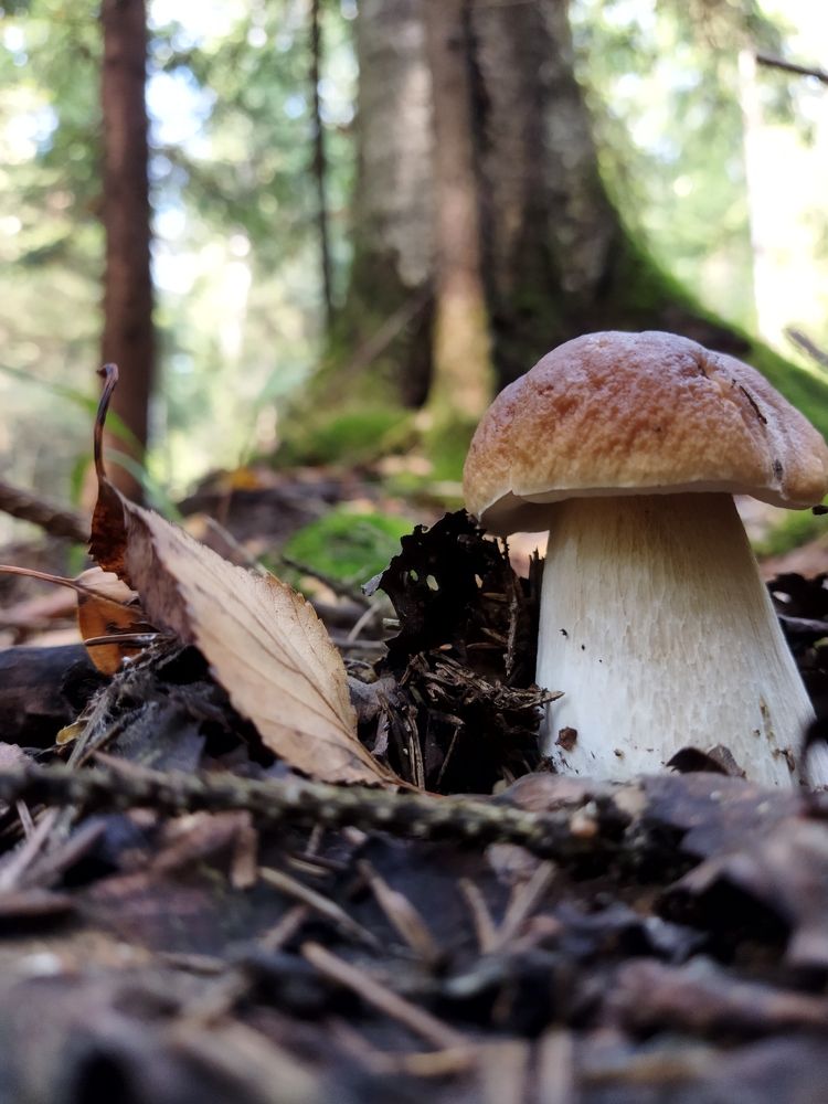 Фотография автора OKazik