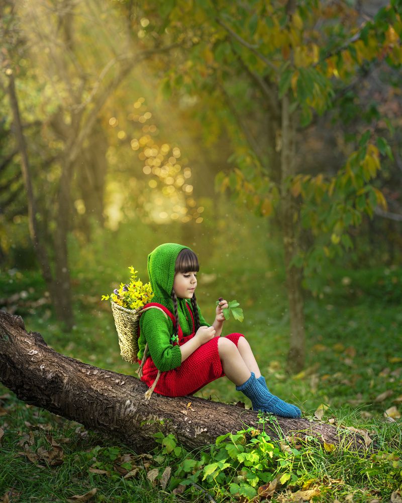 Фотография автора nasser abedi