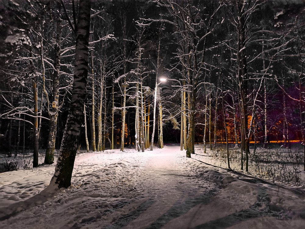 Фотография автора Анатолий Дауров