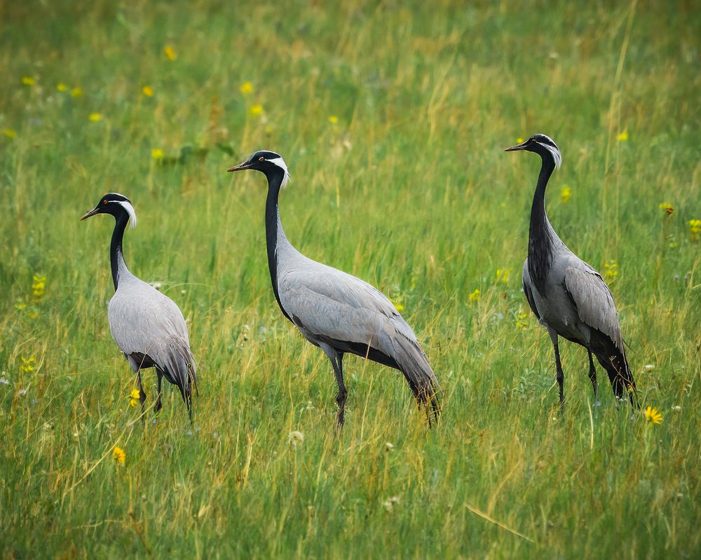Photograph by Екатерина Дубровская