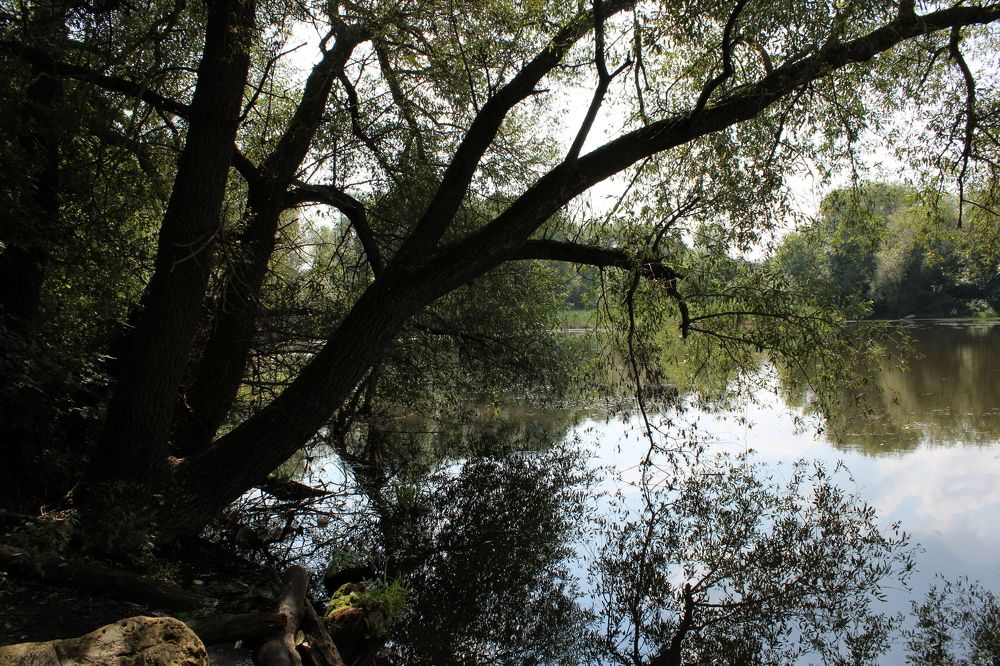 Photograph by Елена Коробченко