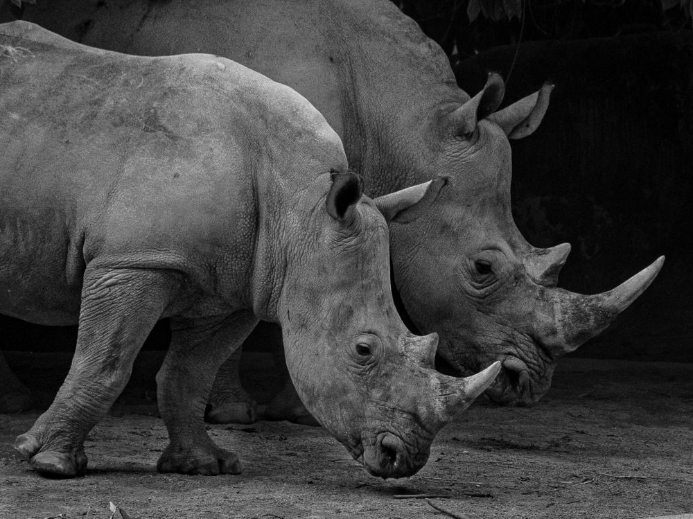 Photograph by Наталья Кокорина