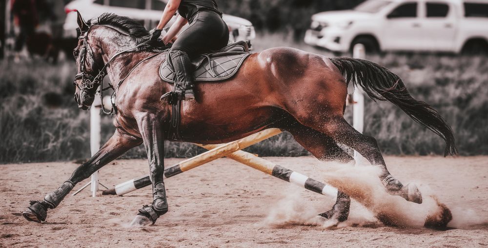 Photograph by Geran Raath