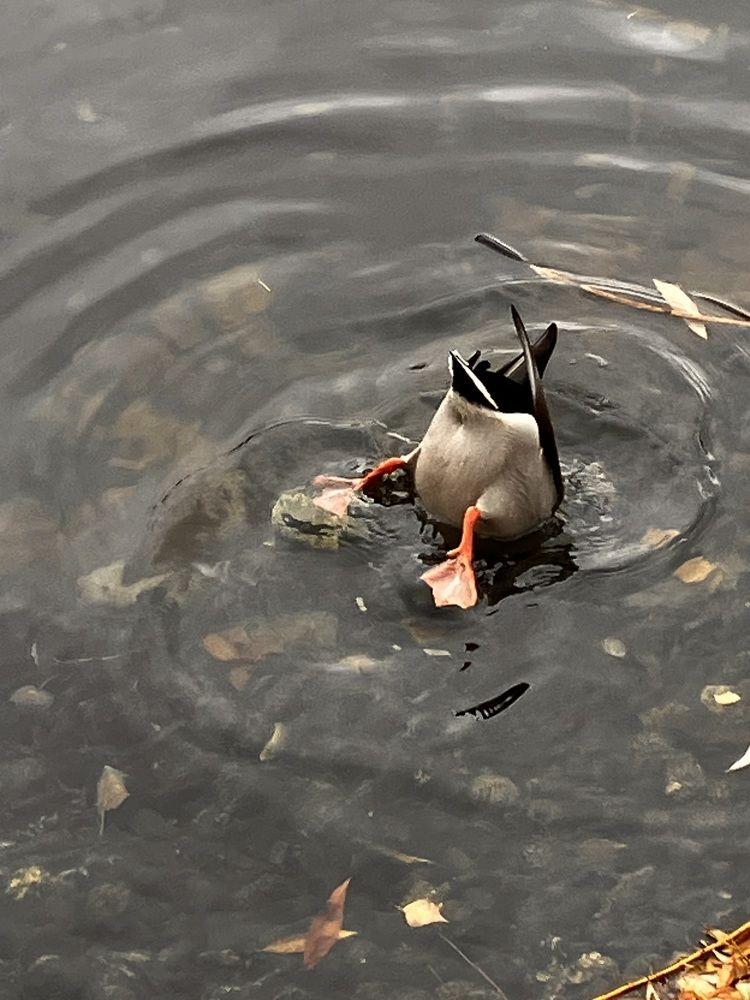 Взгляд снизу