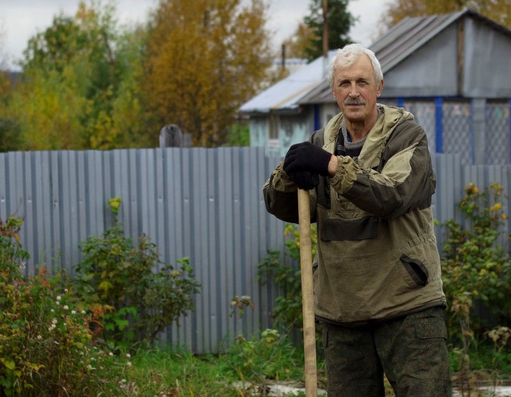 на картошке