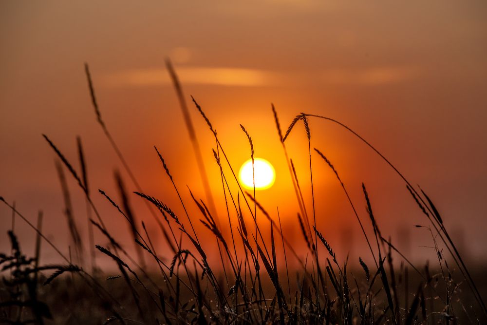 Photograph by Hoandra Ilie