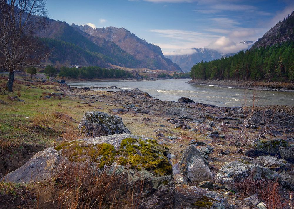 Photograph by Чичкин Валерий