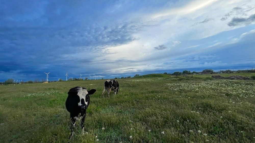 Photograph by Олег Ведерников