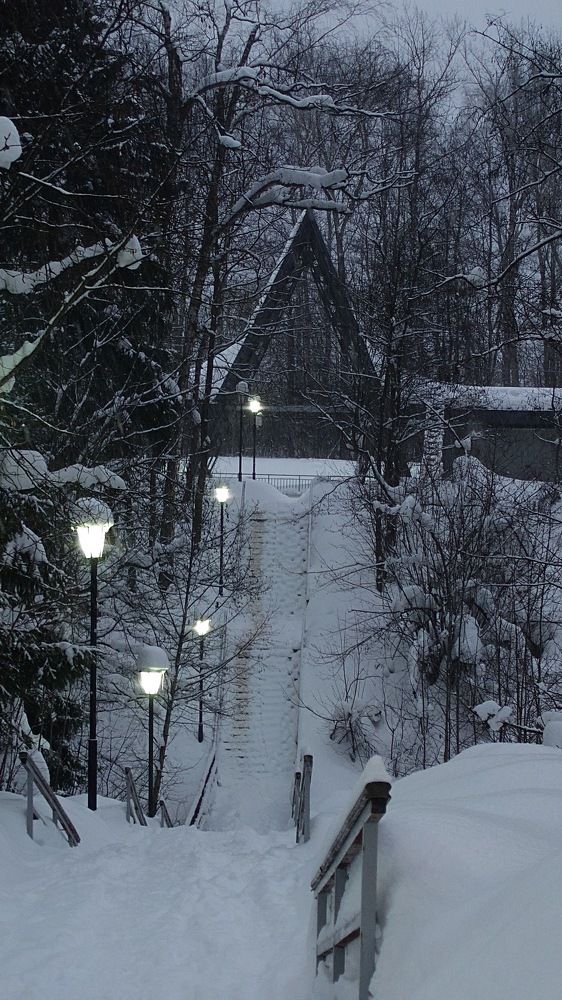 Photo #10447364