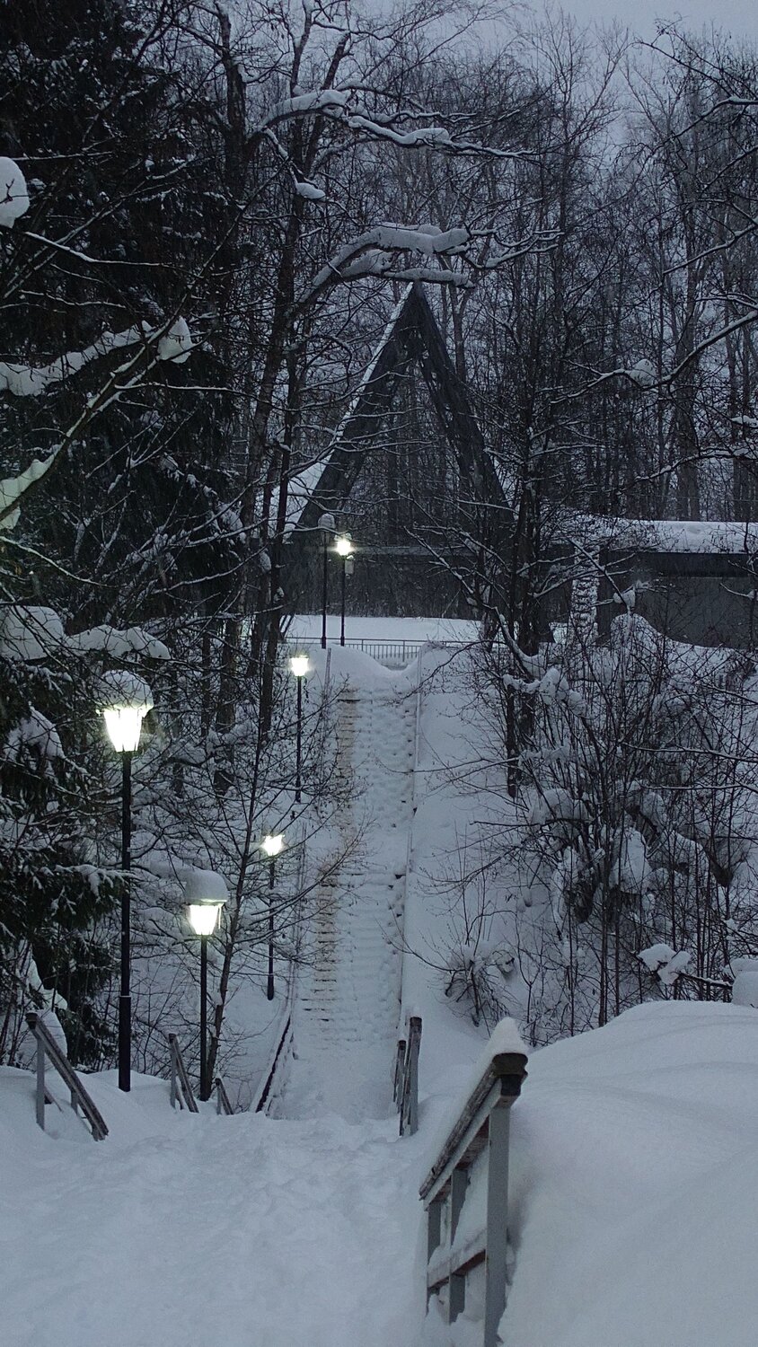 Photo #10447364